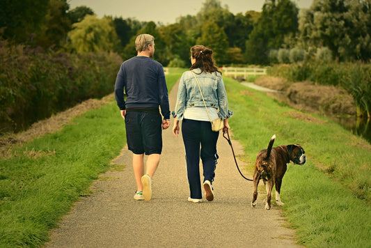 Dog Walking